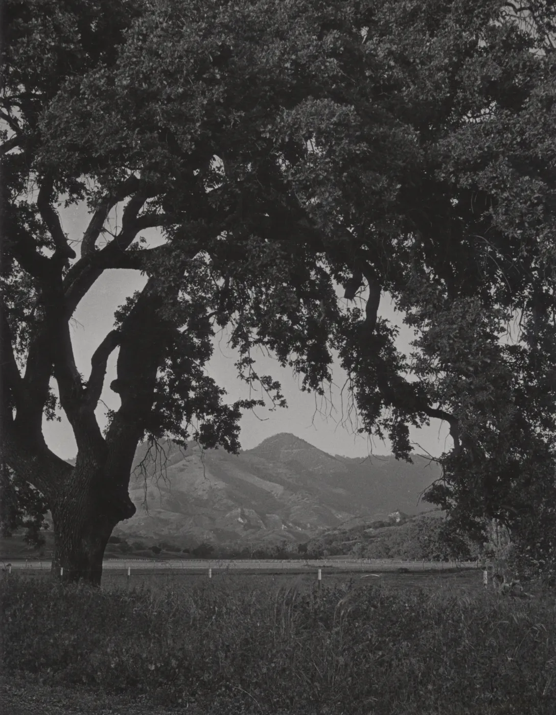 view of Zaca Peak and Figueroa Mountain from floor of Santa Ynez Valley