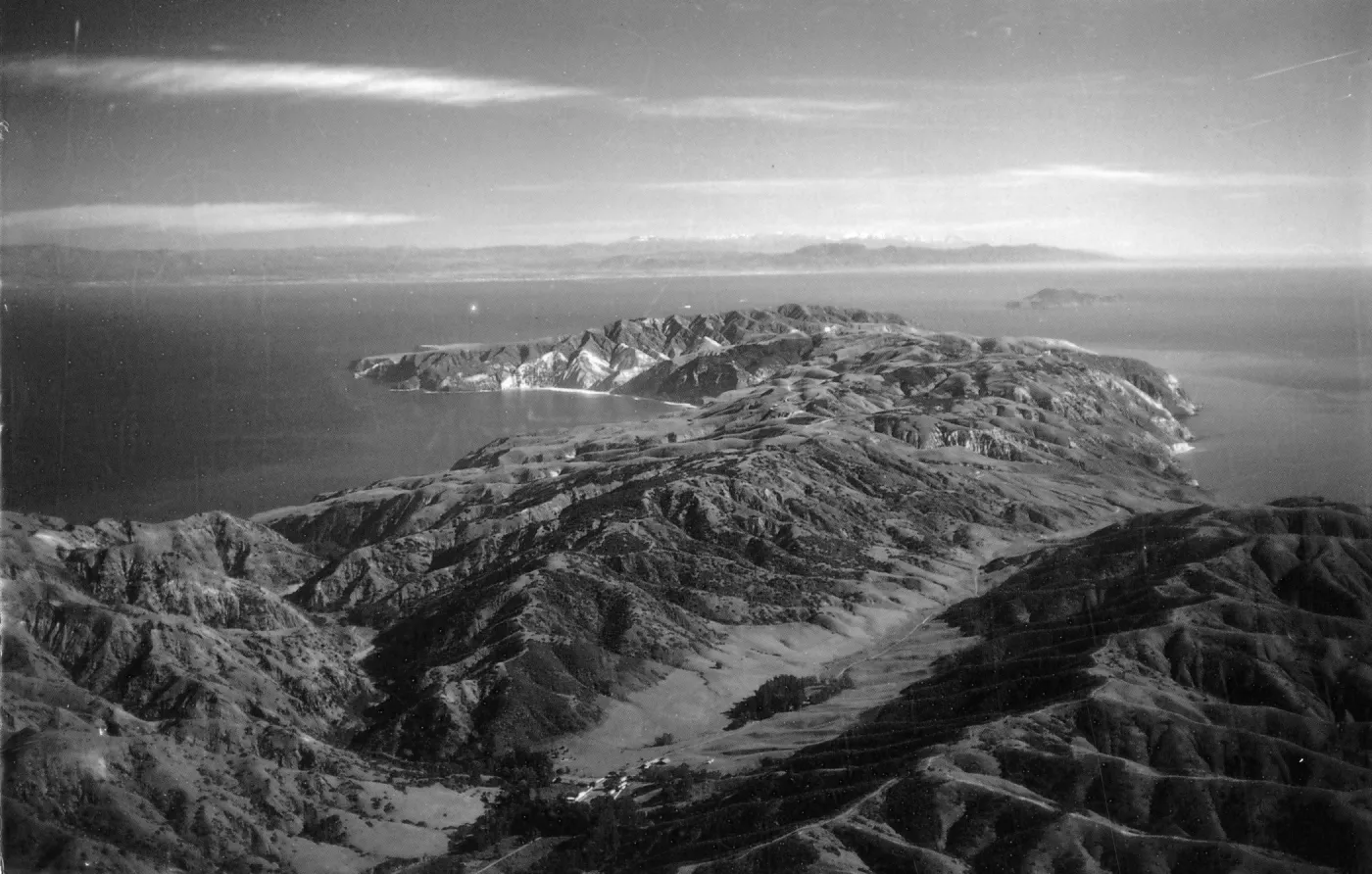 Santa Cruz Island, Central Valley, © Steve Junak