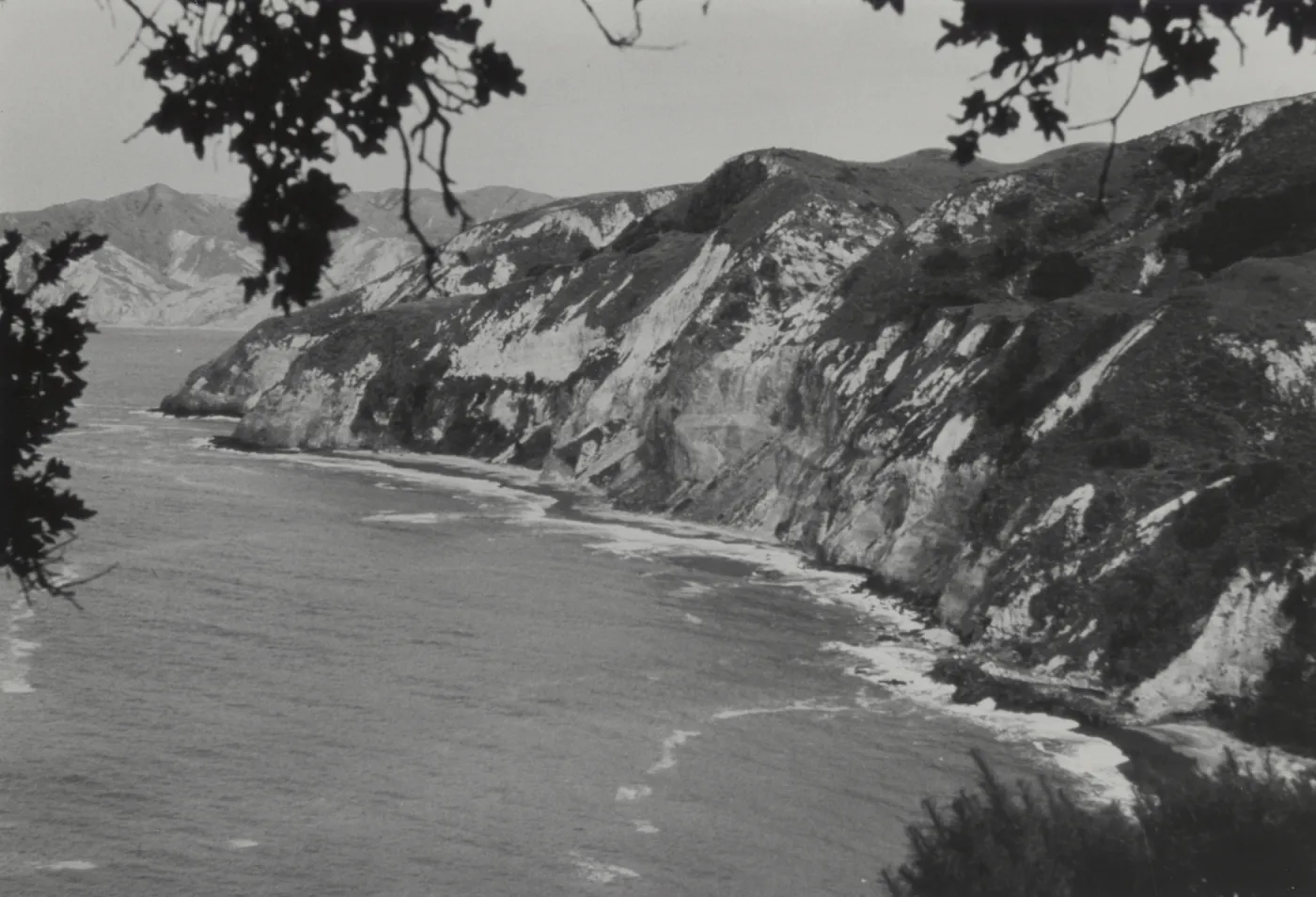 Santa Cruz Island Preserve
