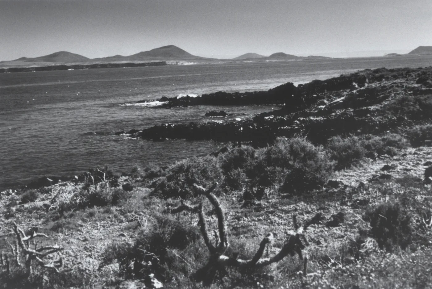 Isla San Martin, © Steve Junak