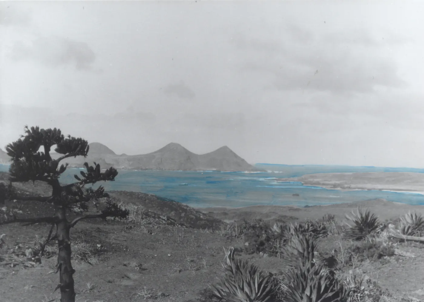 San Benito Island