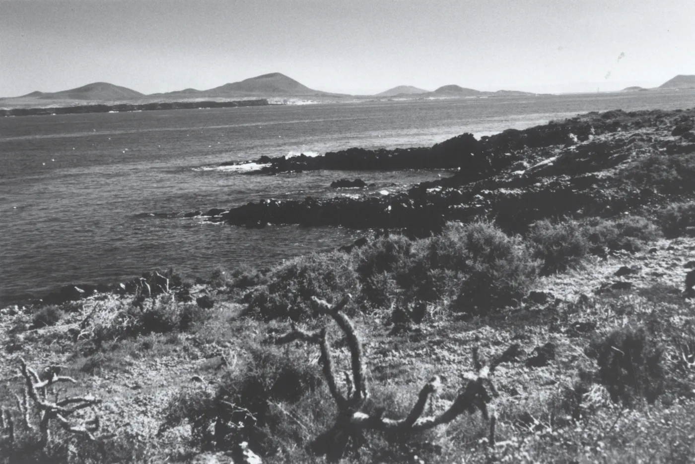 Isla San Martin, Baja, © Steve Junak