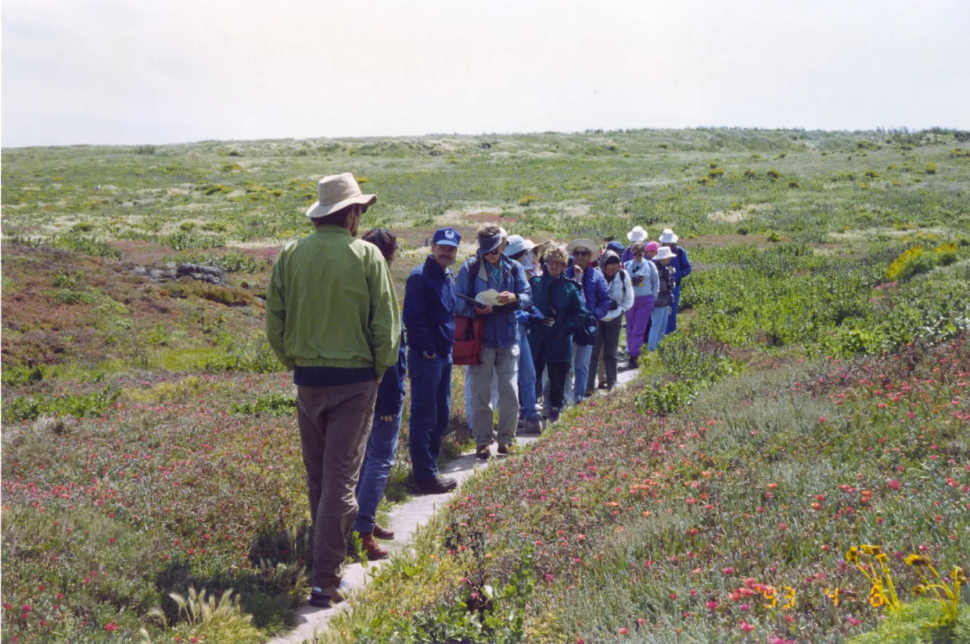 Visitor tour on Anacapa Island