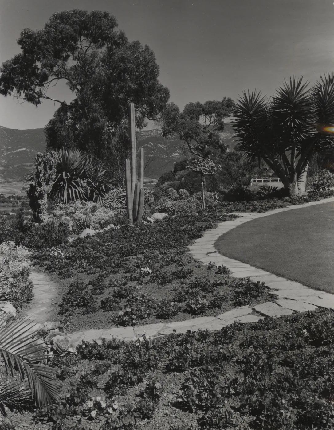 Hillside Garden, Hope Ranch residence