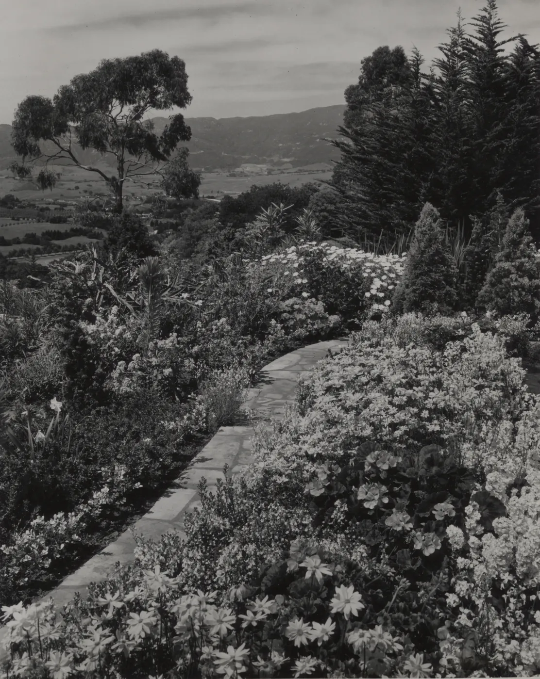 Garden Path, Hope Ranch, overlooking valley of Santa Ynez Mountains