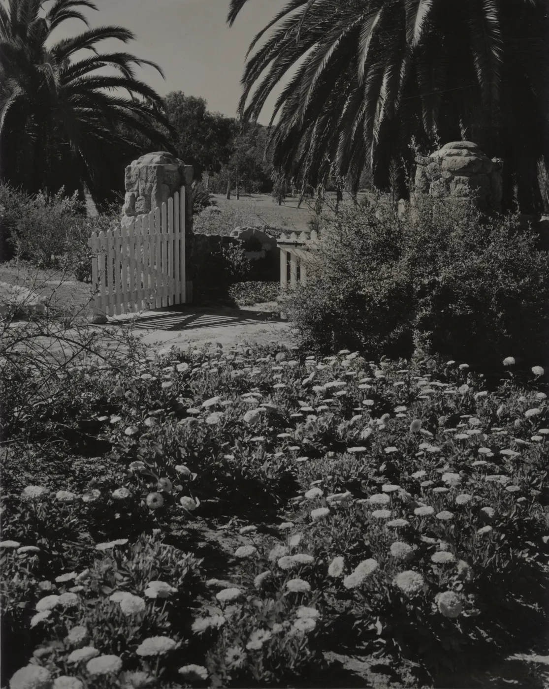 Garden gate, entrance to Hope Ranch home