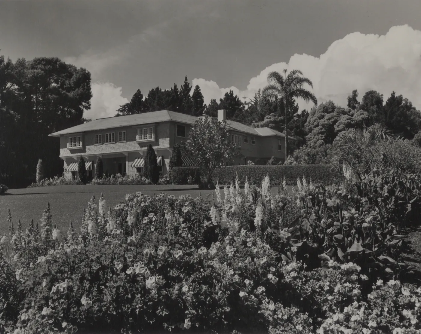 house and garden in Santa Barbara