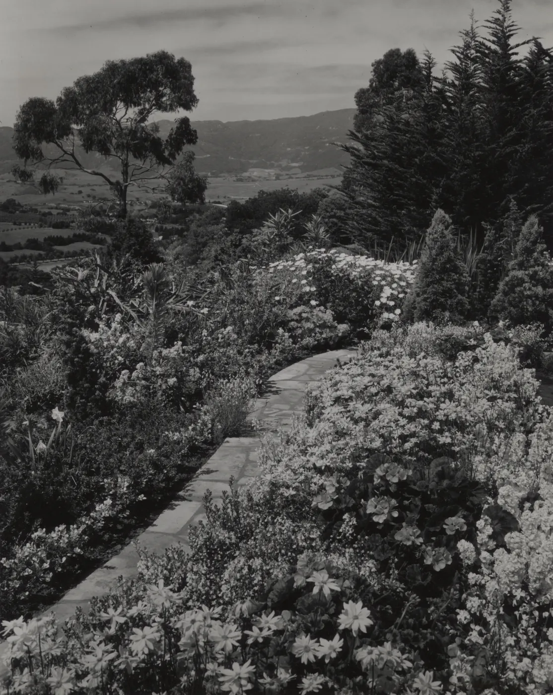Hope Ranch garden and view