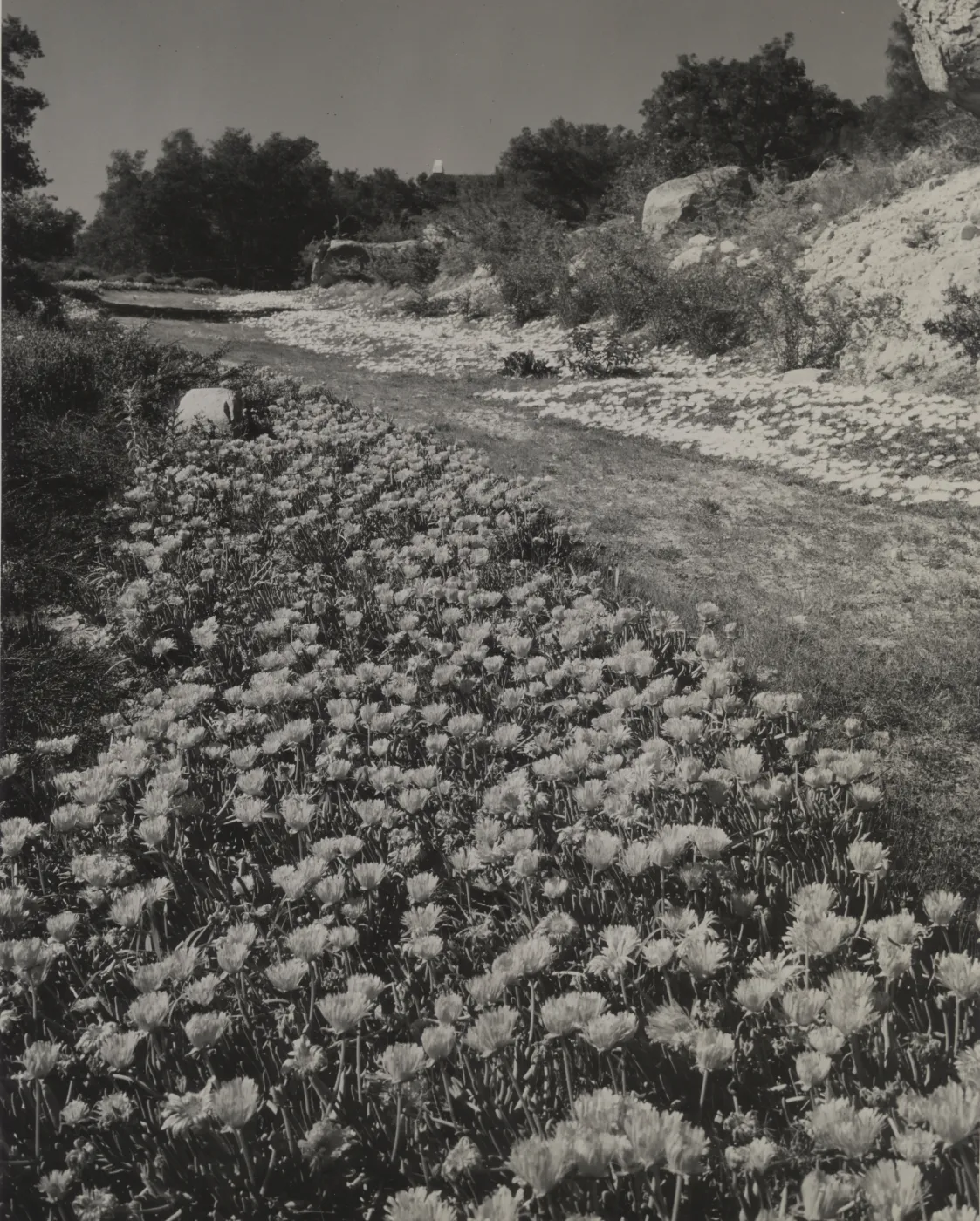 © Josef Muench