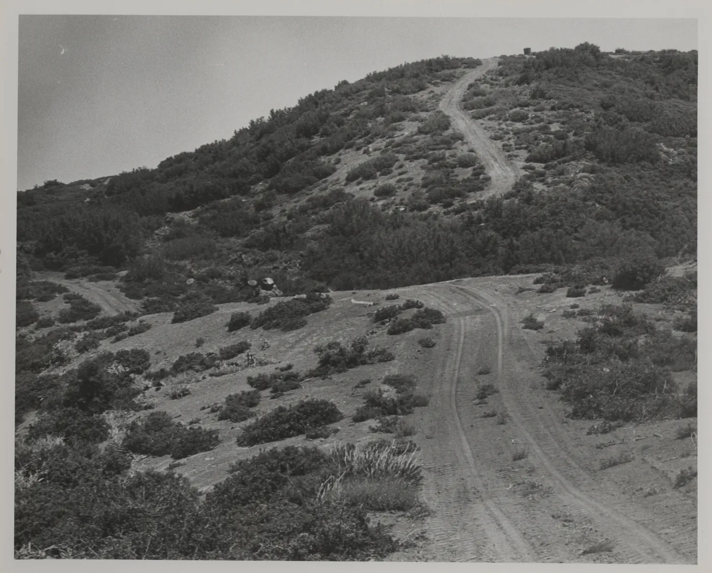 Monte Arido fuel break