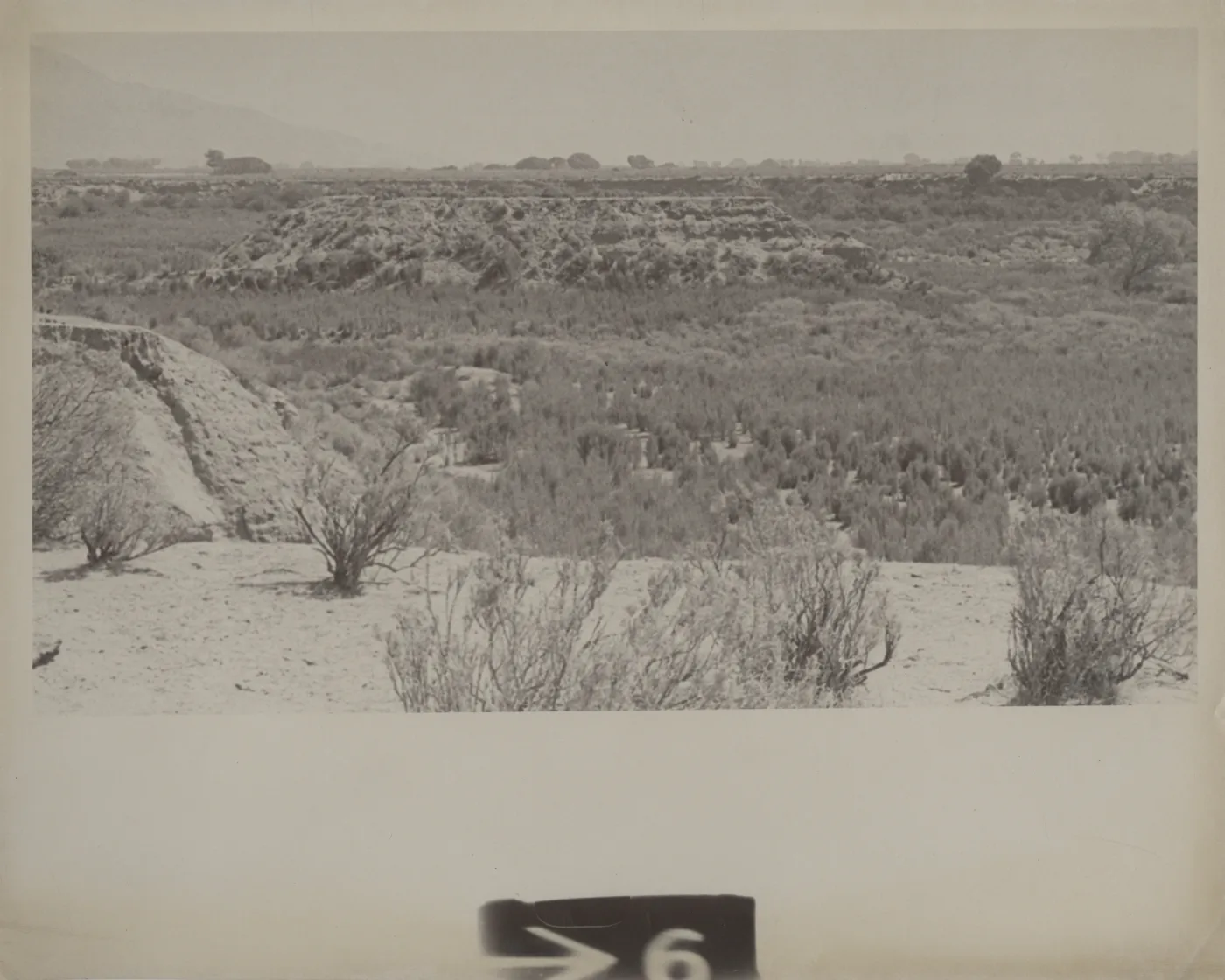 Cuyama Valley below Caliente Peak