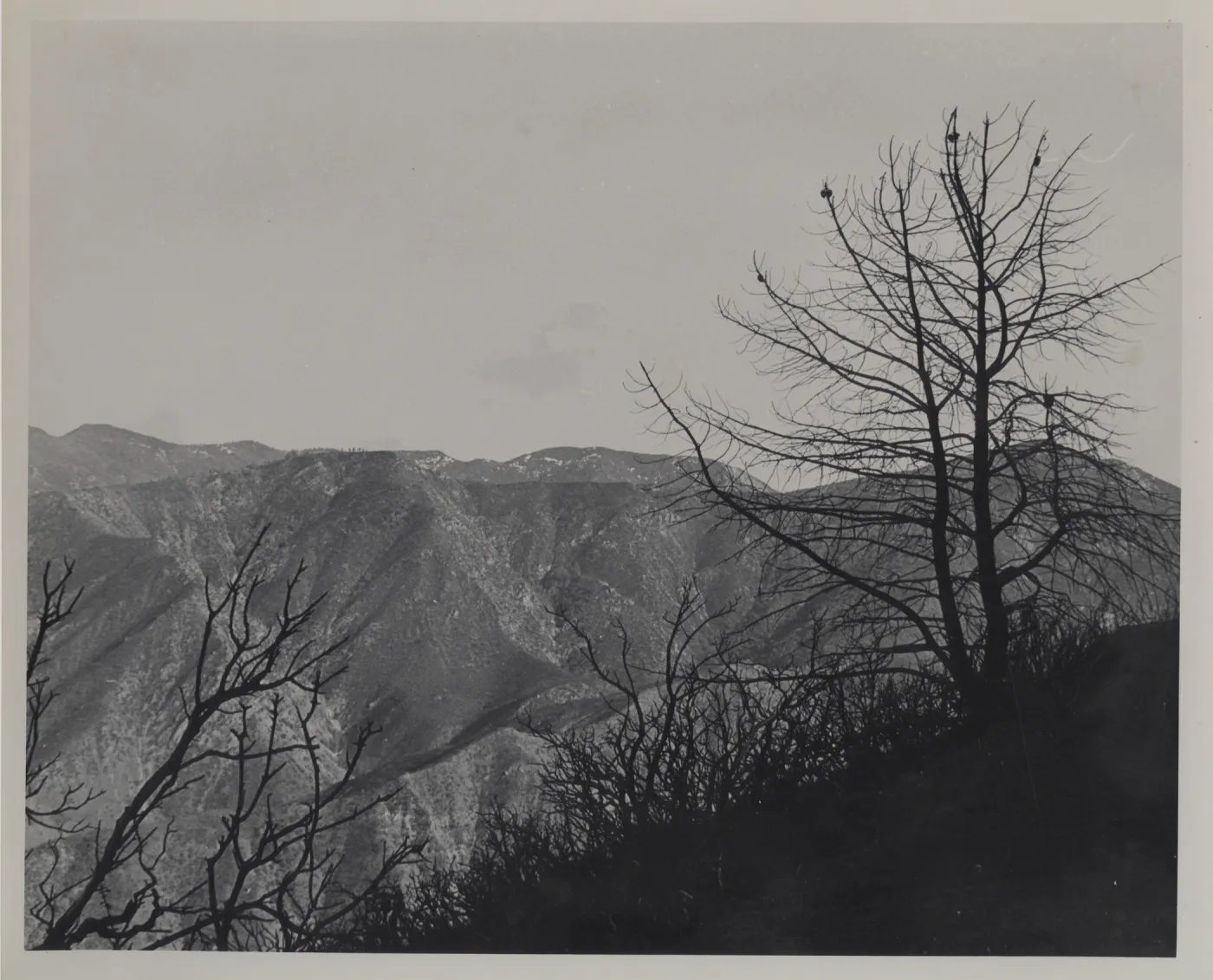 Sierra Madre Mountains, post-fire
