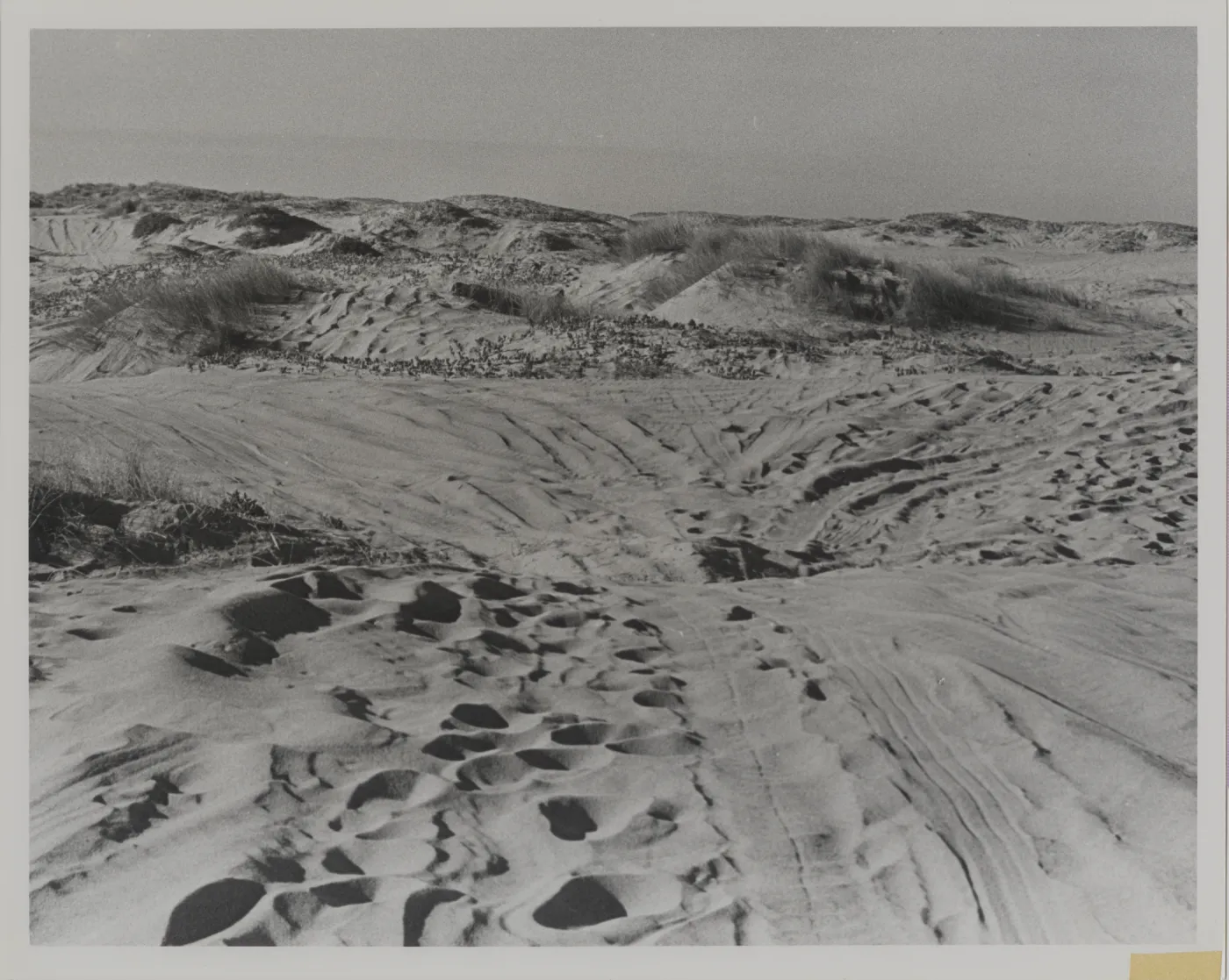 'Modern recreation on dunes at Surf'