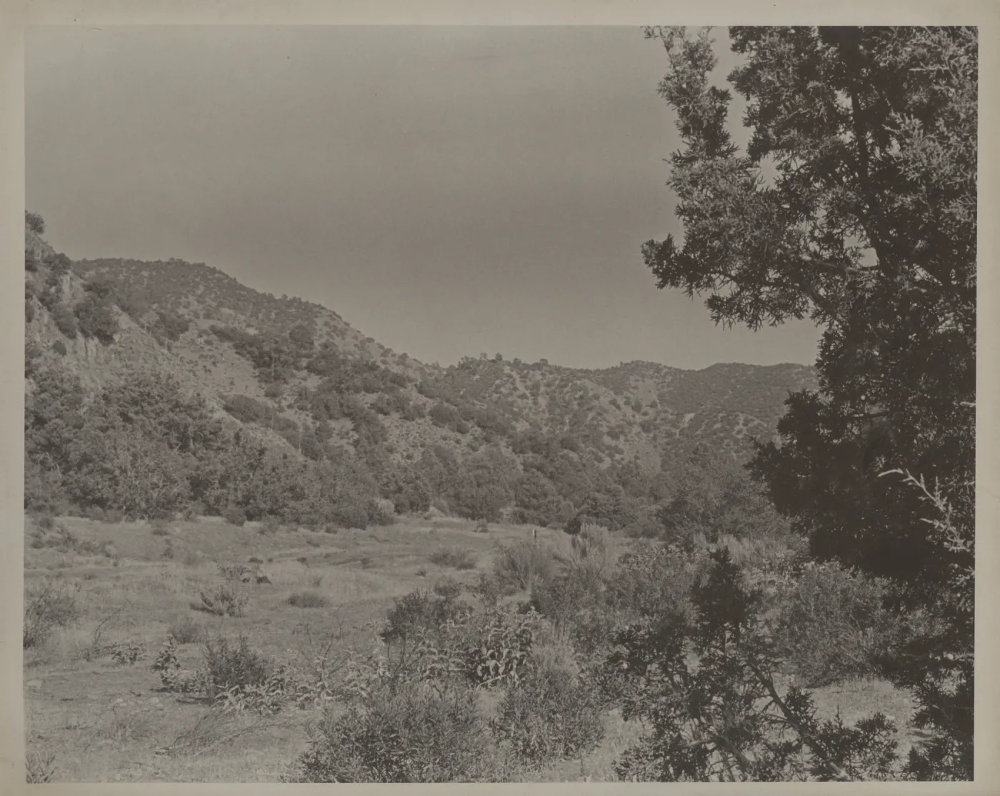 Santa Barbara Canyon?