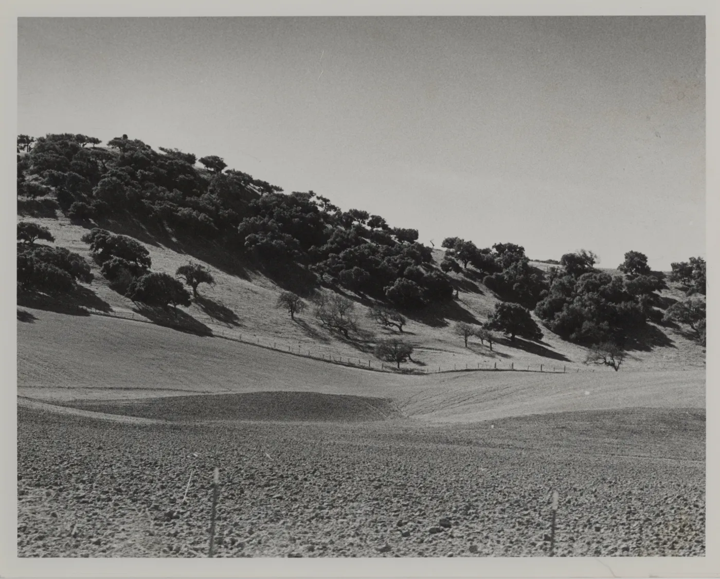 rangeland, Santa Ynez Valley