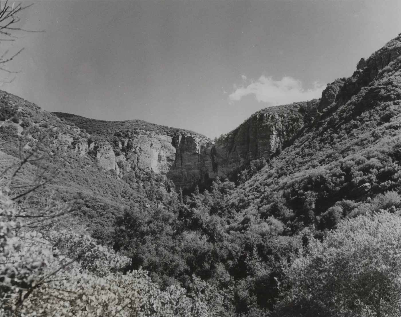 Falls canyon escarpment, 400 foot waterfall on creek running to Sisquoc River from Mission Pine Basin