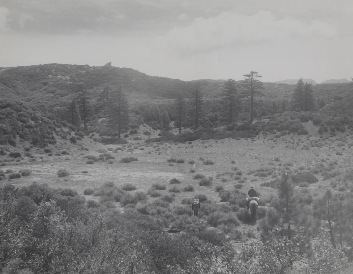 Mission Pine Basin between San Rafael Mountain and Big Pine mountain