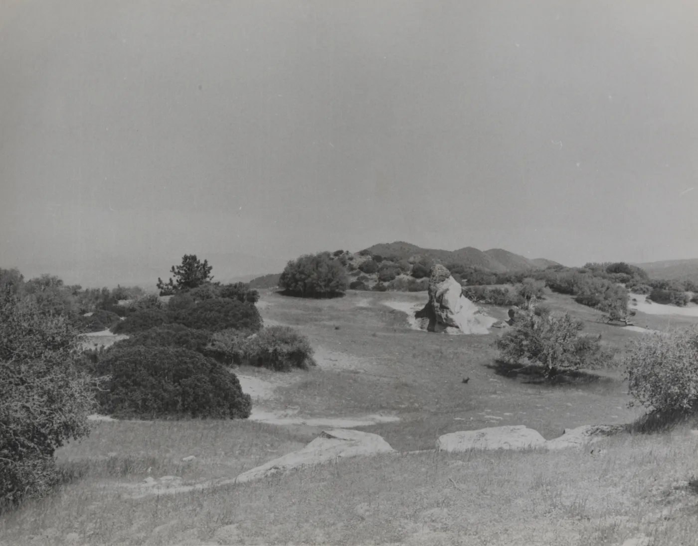 above Painted Camp on Montgomery Potrero, Sierra Madre Mountains