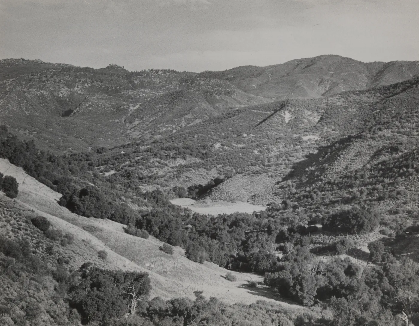Flores Flats on Santa Cruz Creek, Mission Pine on horizon (upper left)