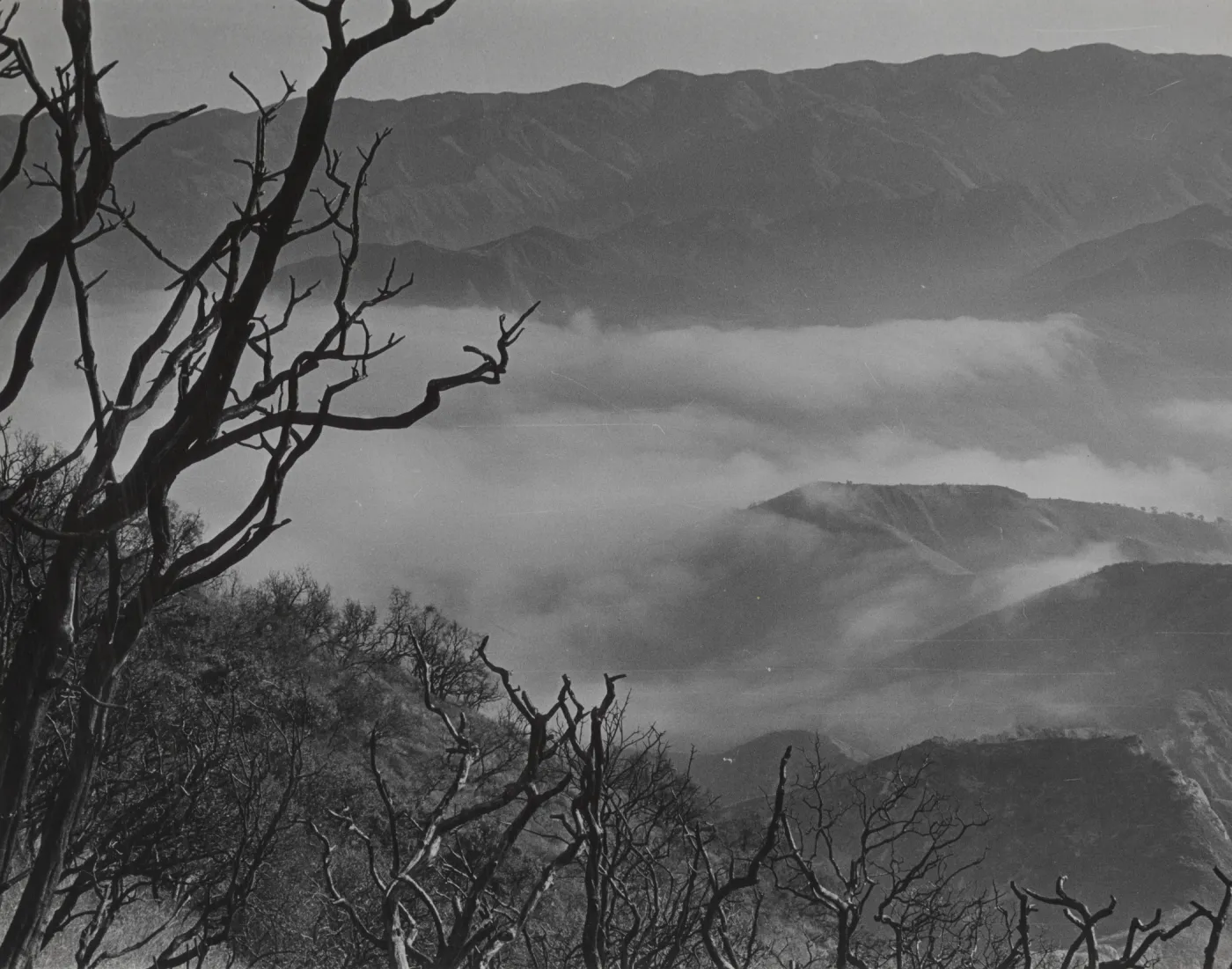 fog in Sisquoc River Valley, north of Hurrican Deck