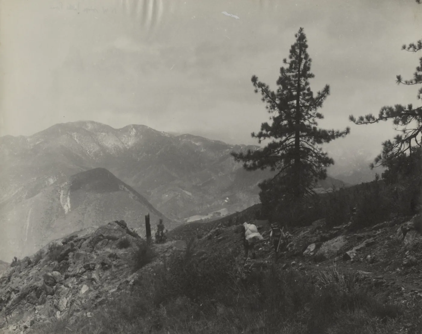 backpackers, northwest slope Little Pine
