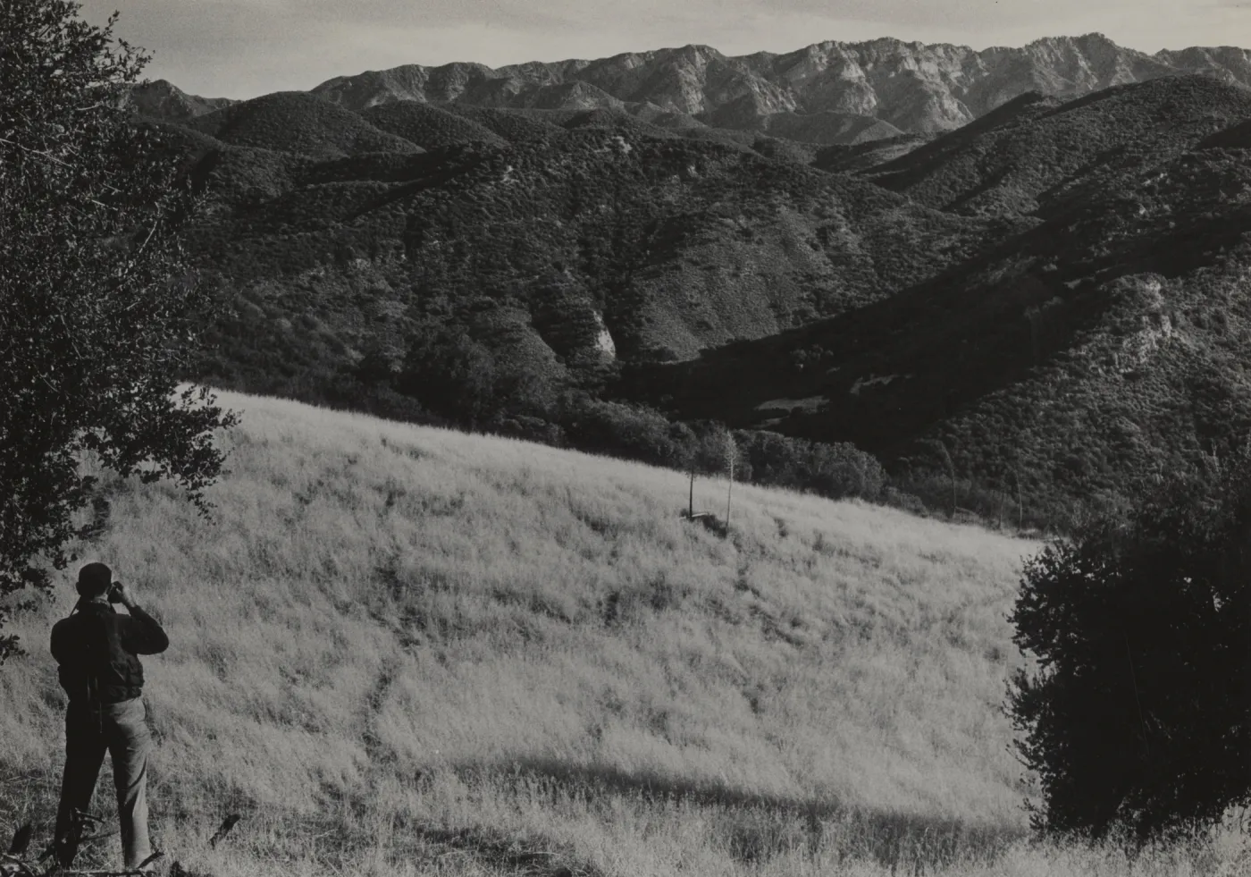 Romo Potrero on Sanata Cruz creek watershed, West Bigpine on horizon