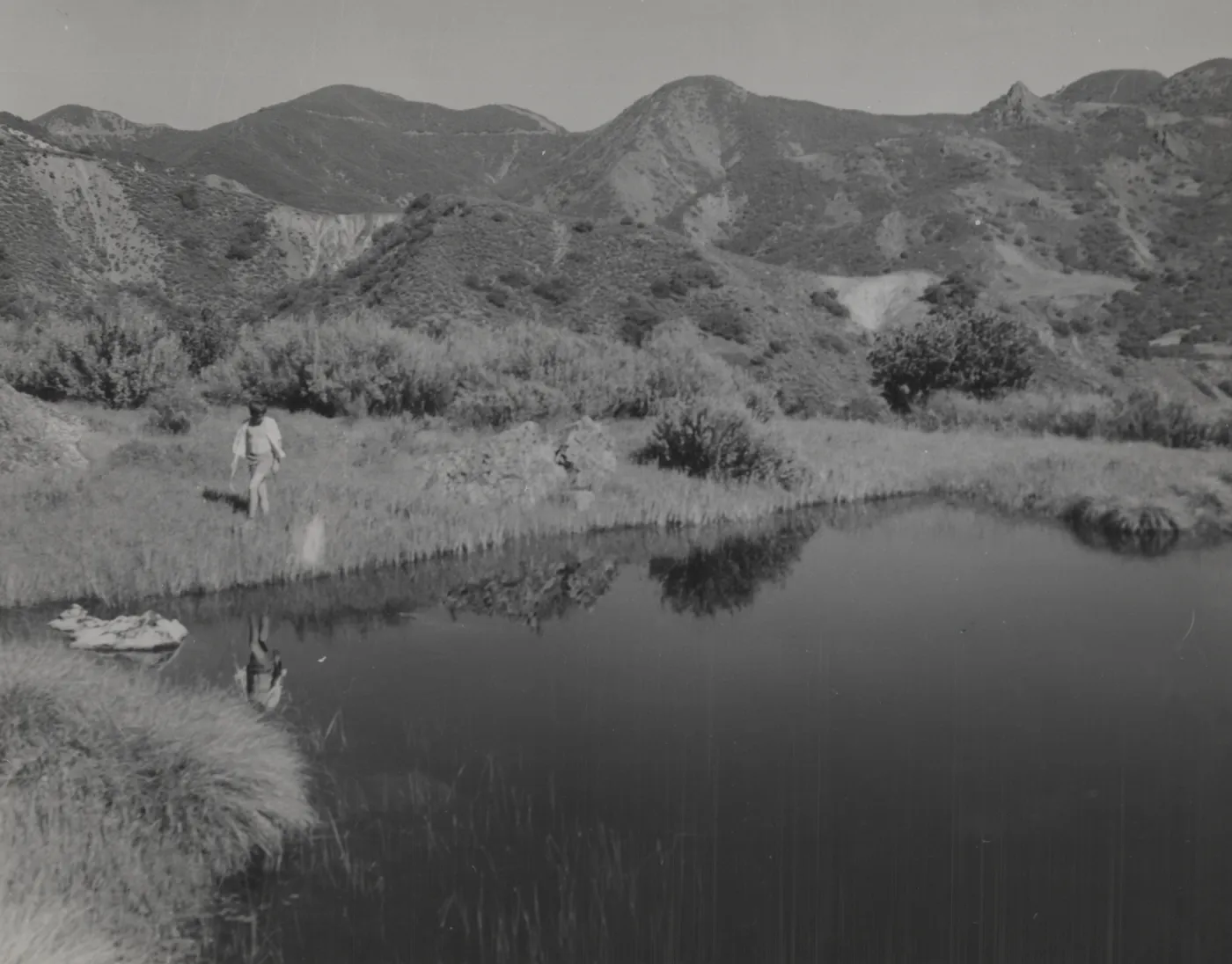 Turtle pool below Little Pint Mountain, above Oso creek
