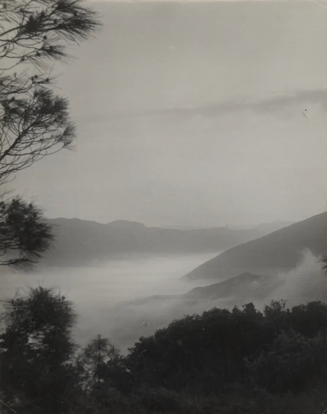 Fog in Santa Ynez Valley, from McKinley Peak