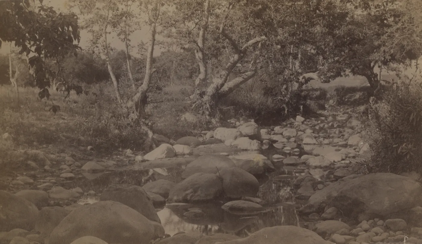 Stream through Oak Park