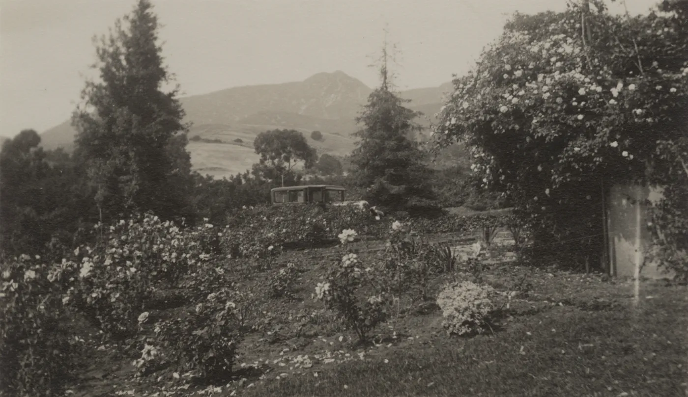 Historic photo of Hay Hill, Torocado Ranch