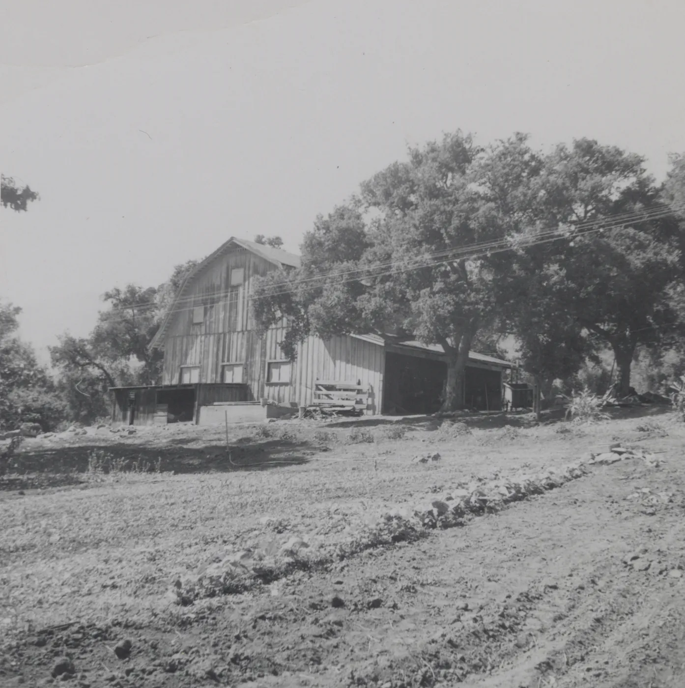 Historic photo of Hay Hill