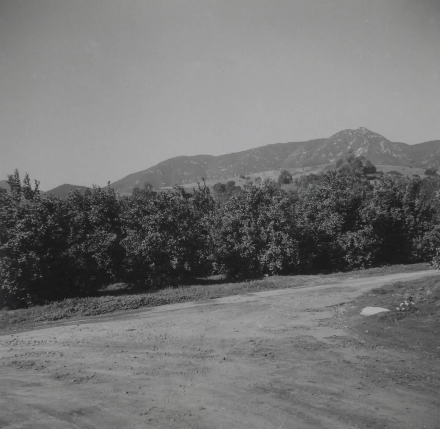 Historic photo of Hay Hill