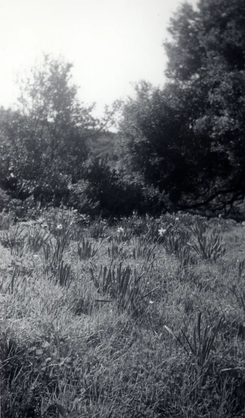 Historic photo of Hay Hill