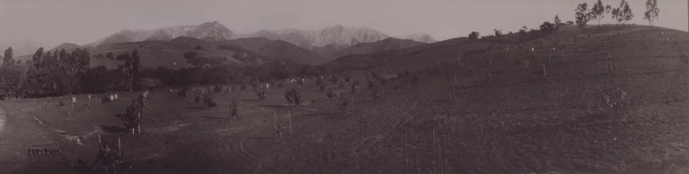 Historic photo of Hay Hill Ranch property