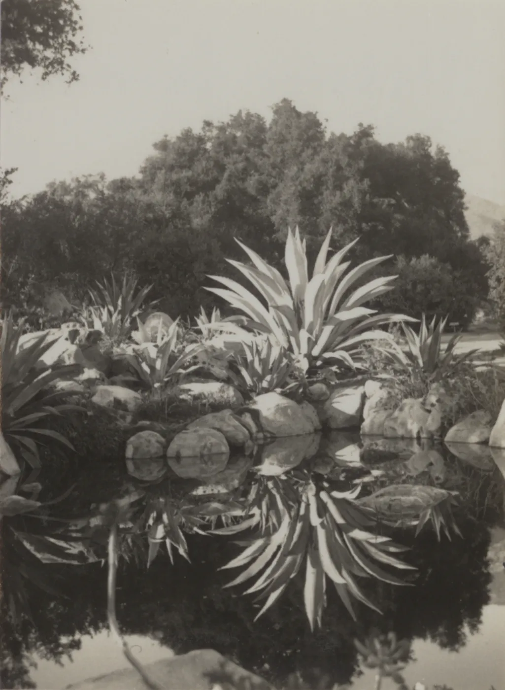 Blakesly Garden, pond