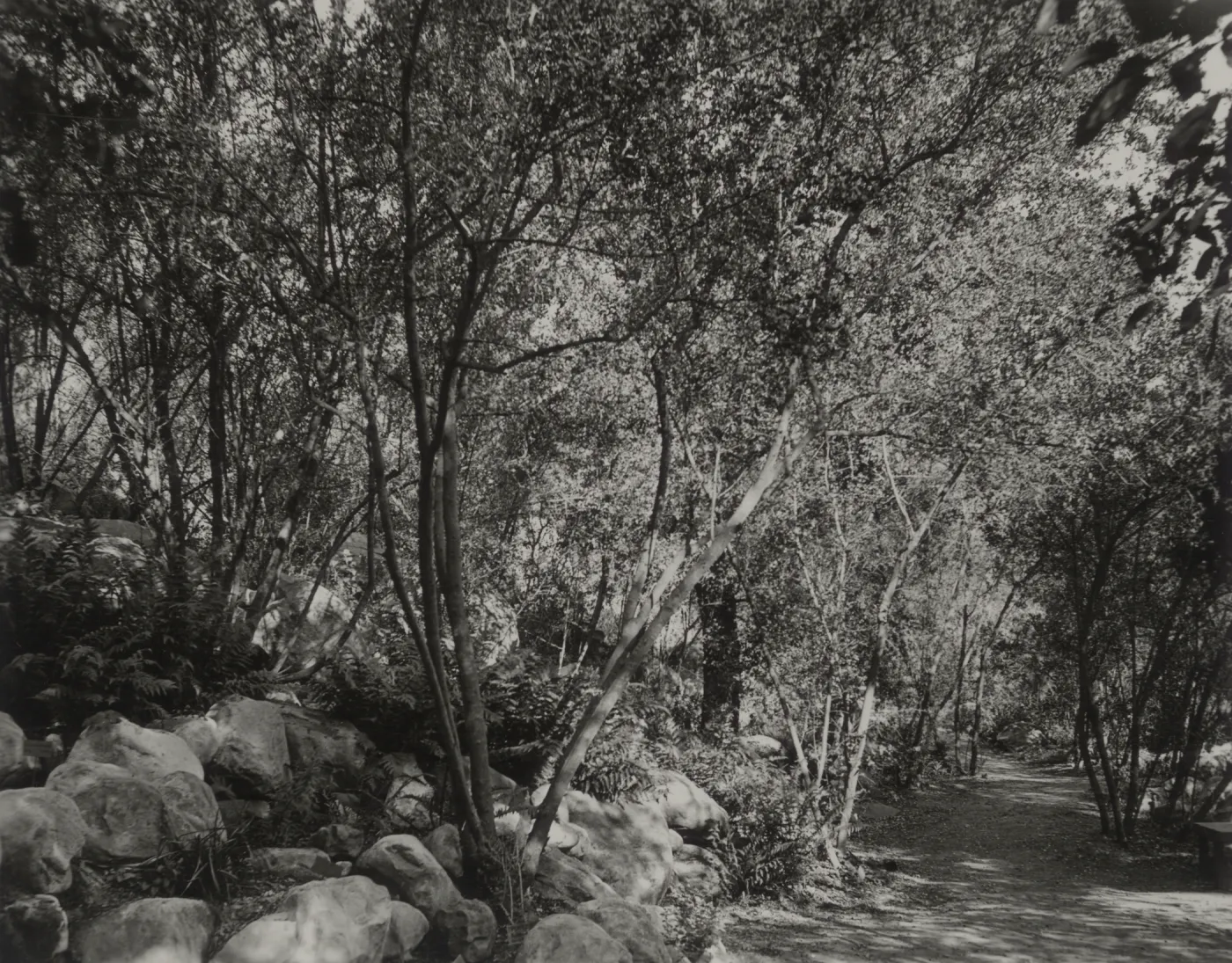 Canyon trail, location?