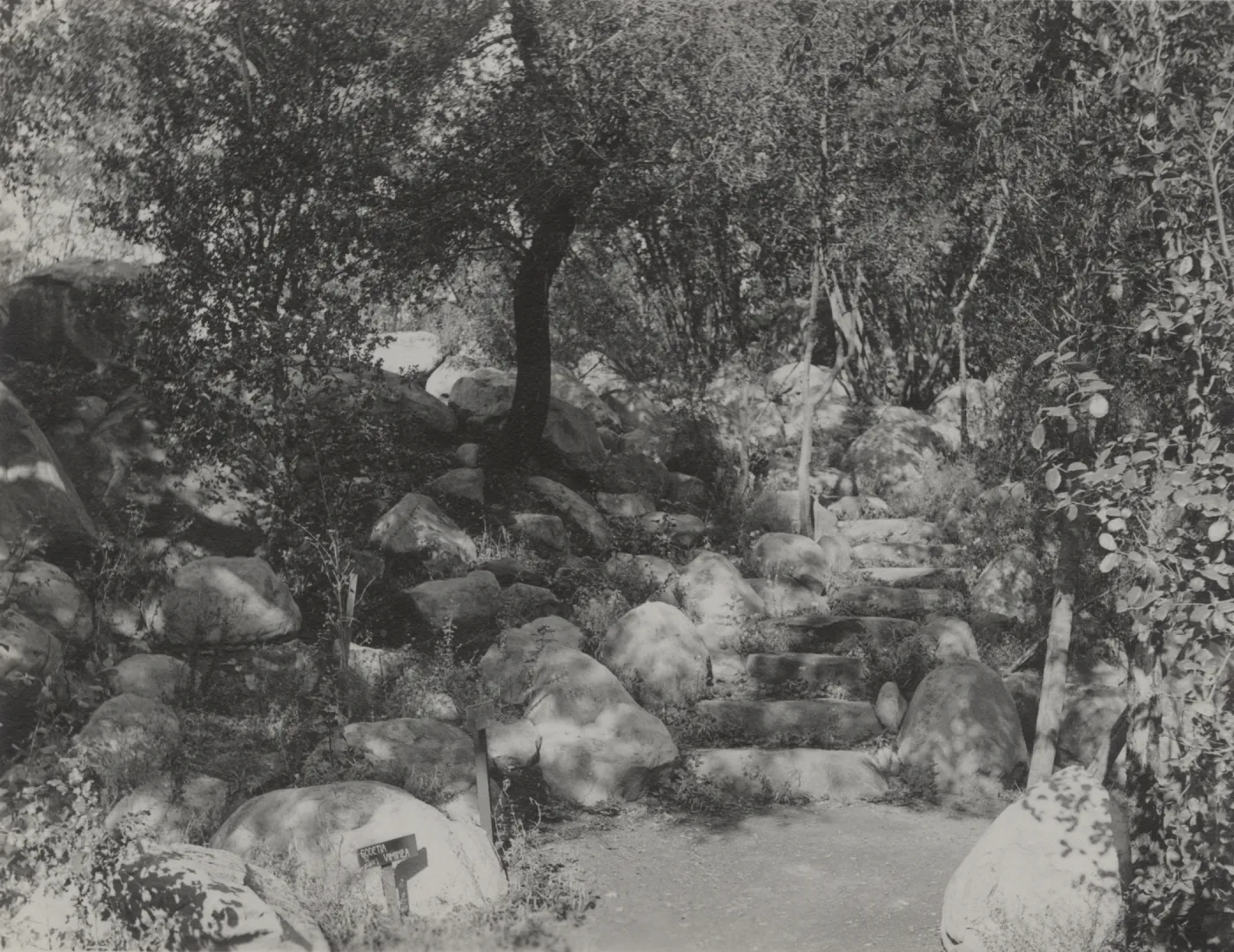 Arroyo, steps to Historic Ceanothus Trail