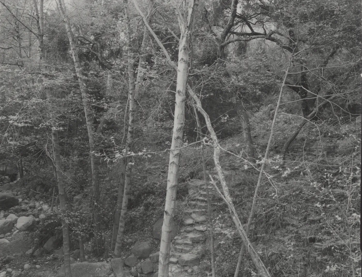 steps to Mission Creek, below Mission Dam