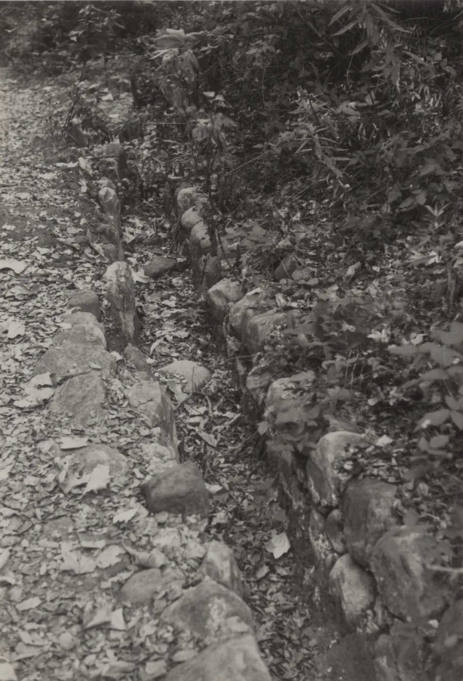 old Mission Aqueduct along Canyon Trail