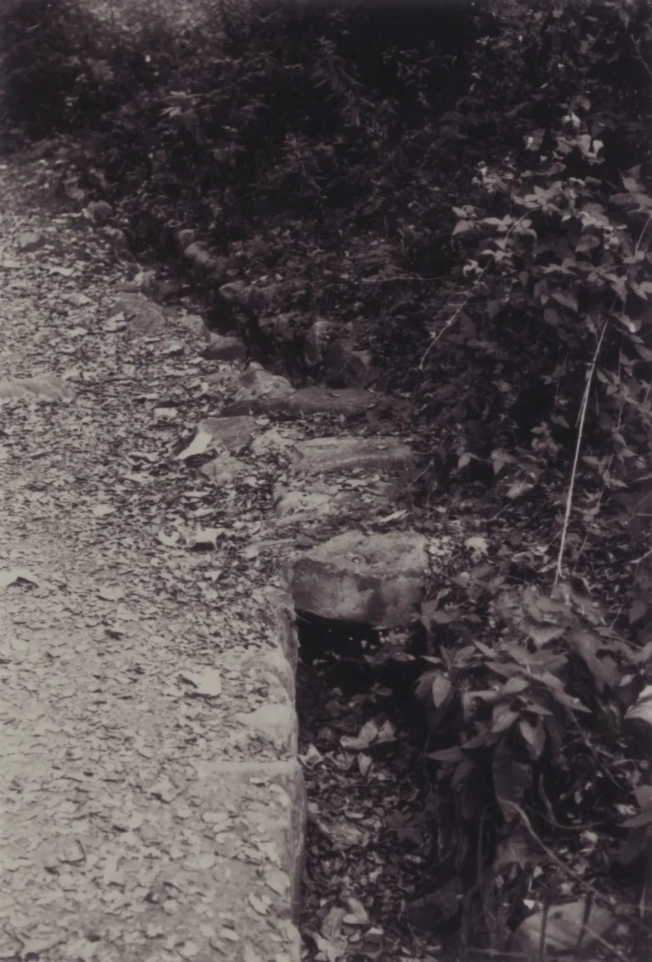 old Mission Aqueduct along Canyon Trail