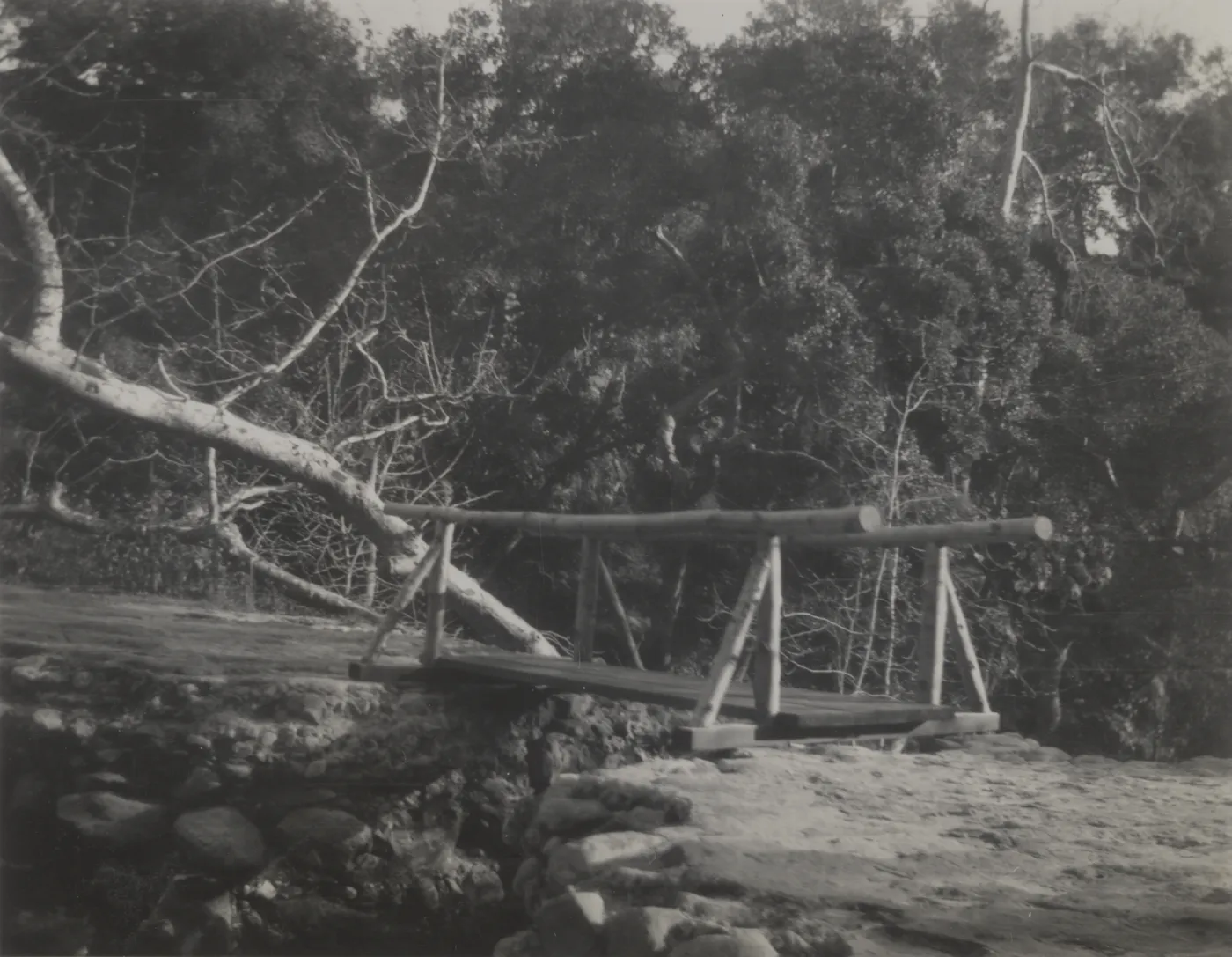 wooden footbridge on Mission Dam