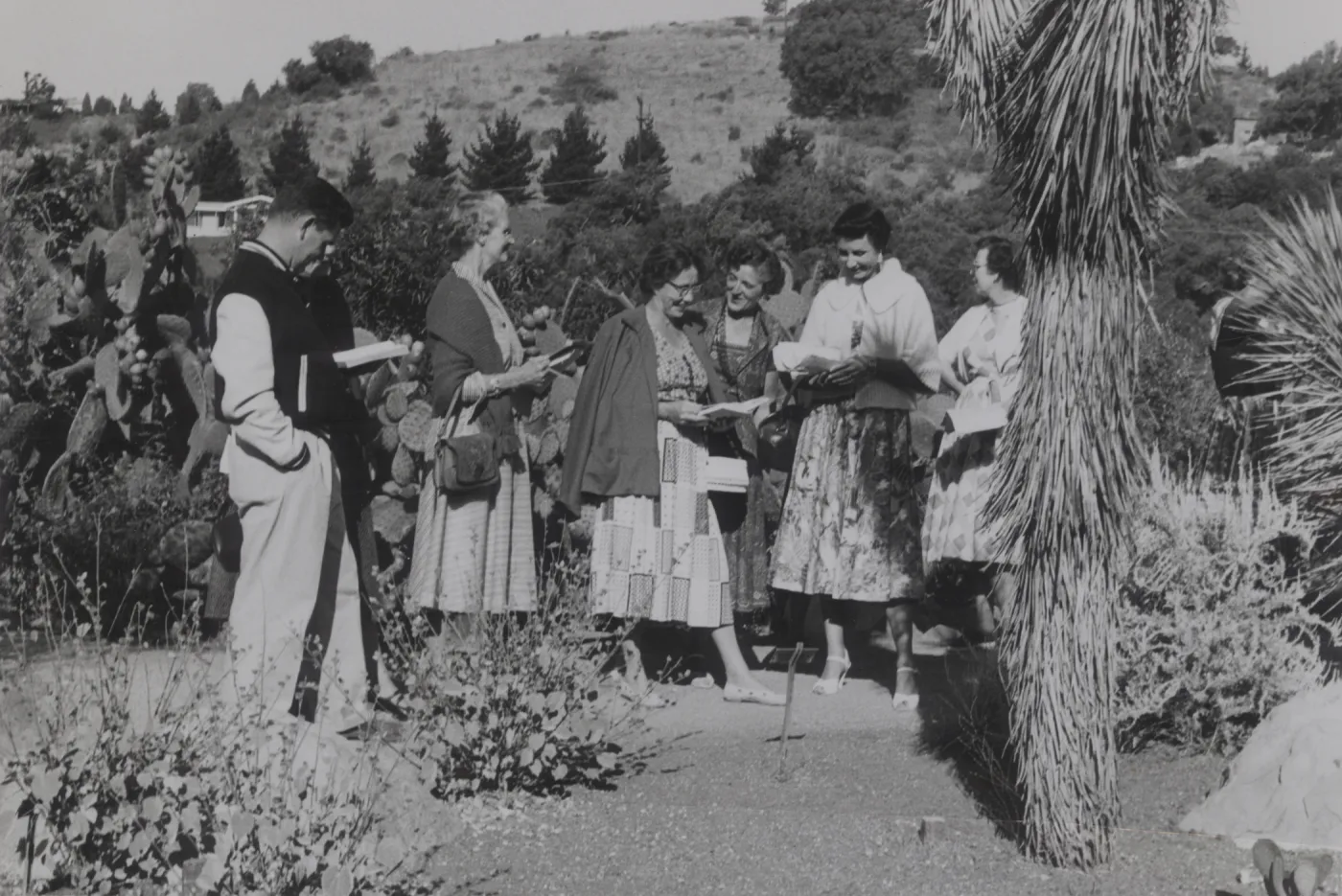 Institute of Nature Studies, Desert Section, 1950's