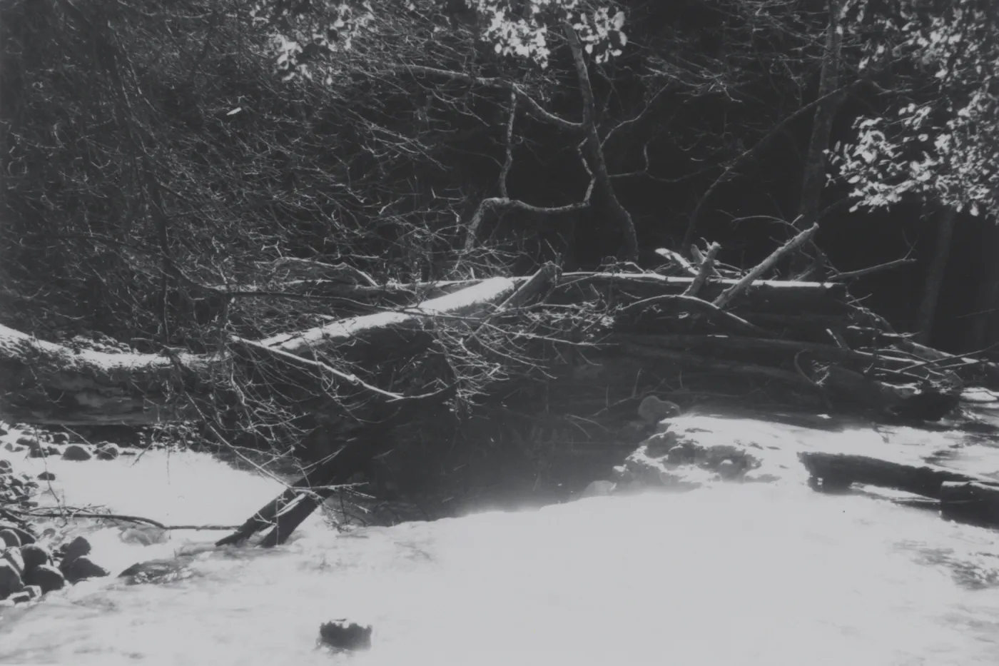 Flood debris collected on Mission Dam, 1969