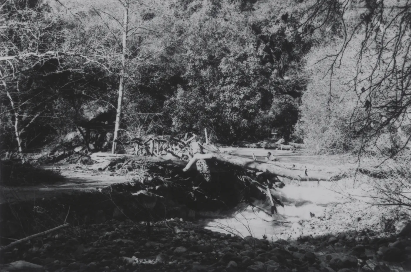 flood debris collected on top of Mission Dam, 1969