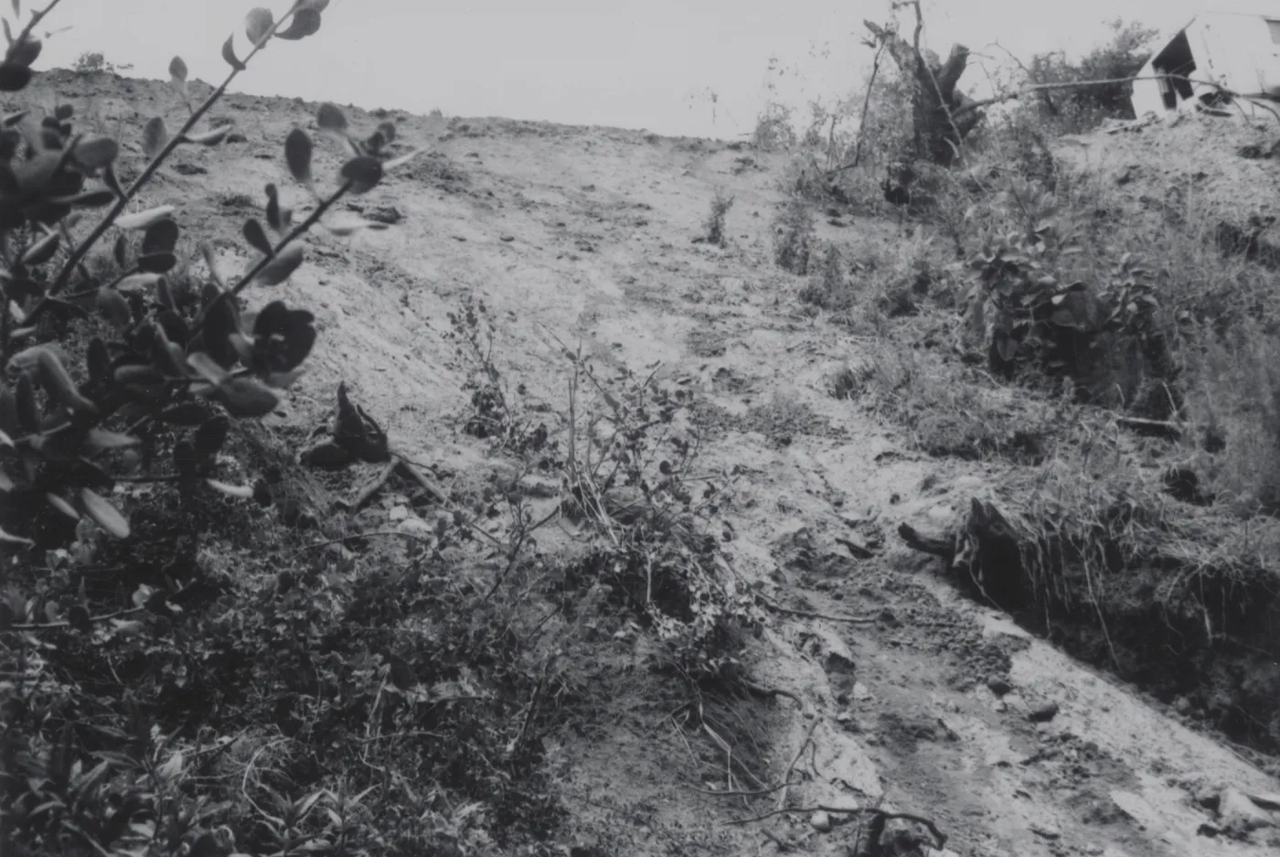 Mudslide below Tunnel Road, 1969