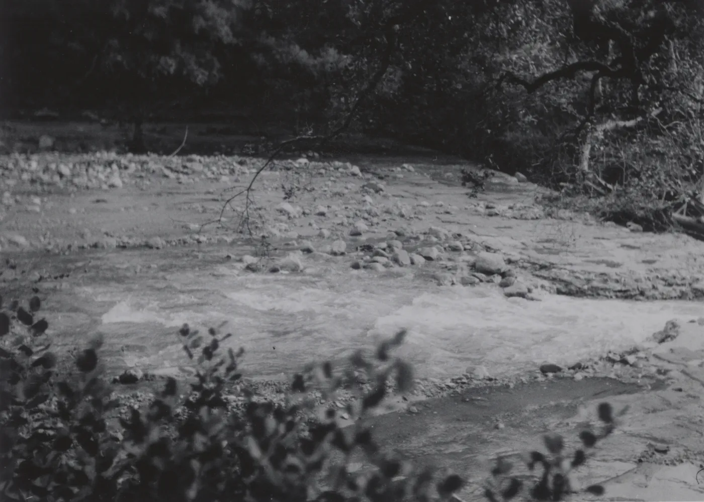 Mission Creek, flood stage, at Mission Dam, 1952