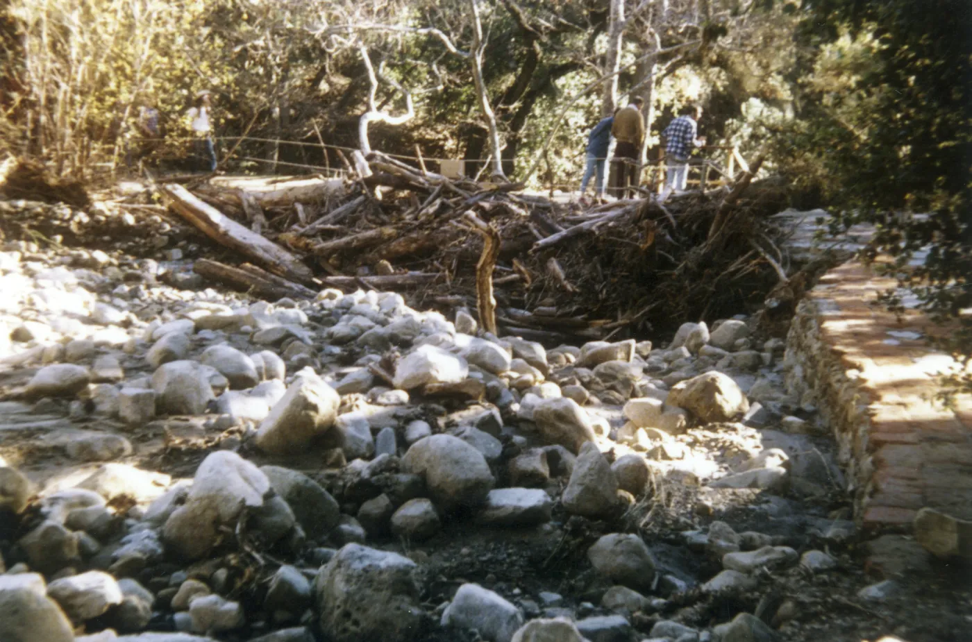 flood debris collected behind Mission Dam, Spring 1973