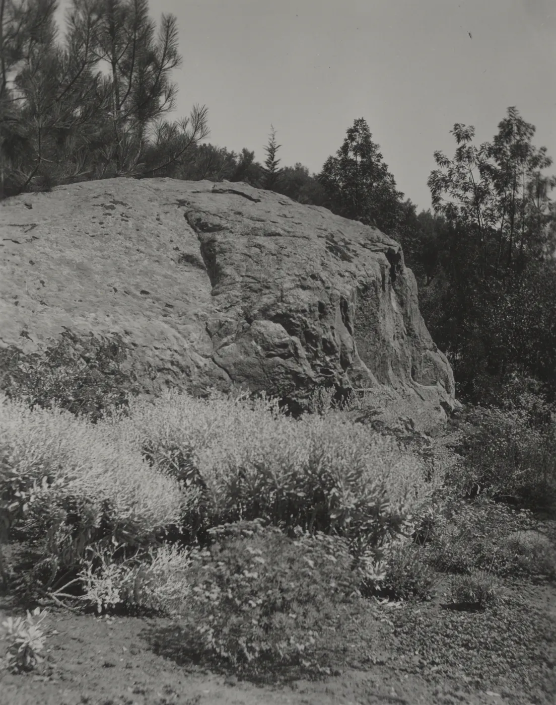 west side of entrance boulder, old Island Trail, 1930's