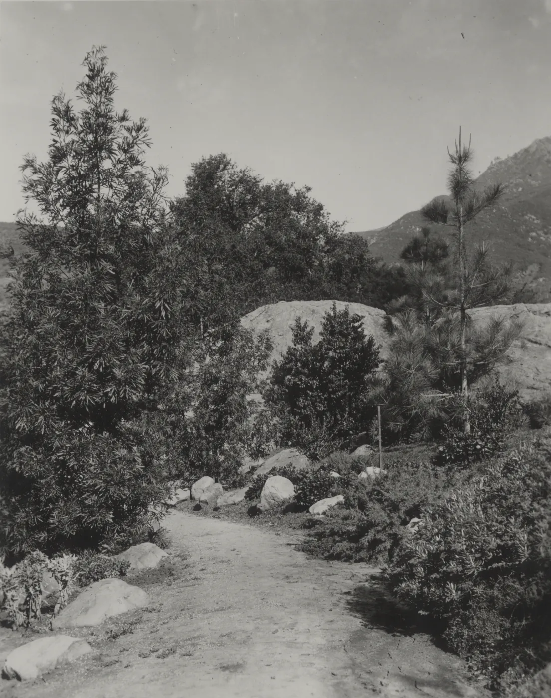 southern approach of old Island Trail, 1930's