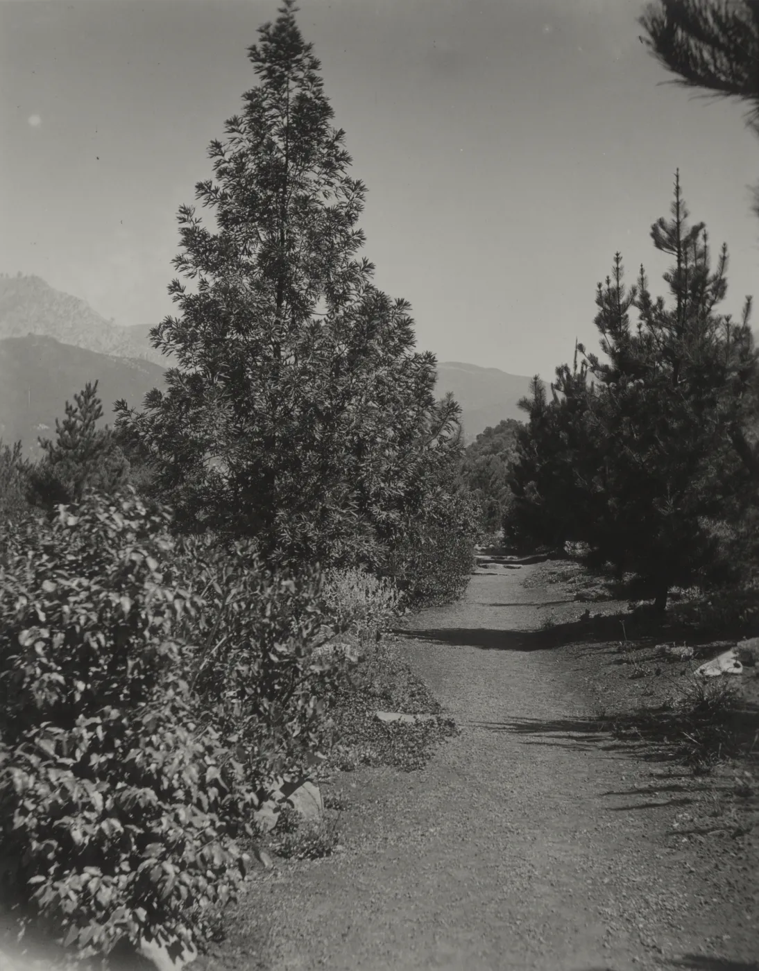 old Island Trail, 1930's